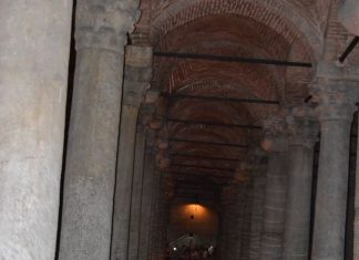 Exploring Avian Diversity