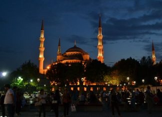 Exploring Bird Watching Opportunities in Istanbul