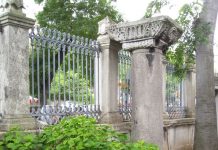 Pazirik Carpet A Glimpse into History