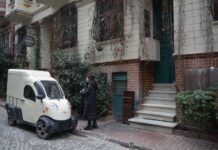 The Marble Group of the Lion and the Bull