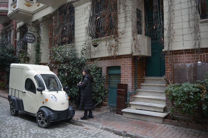 The Marble Group of the Lion and the Bull