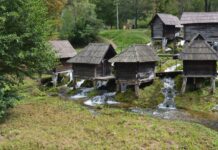 Pietro Zen’s Detailed Description