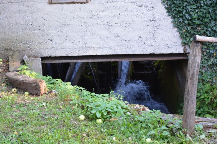 The Most Venerated Church of the Hebdomon