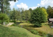 The Relic and the Fame of the Church