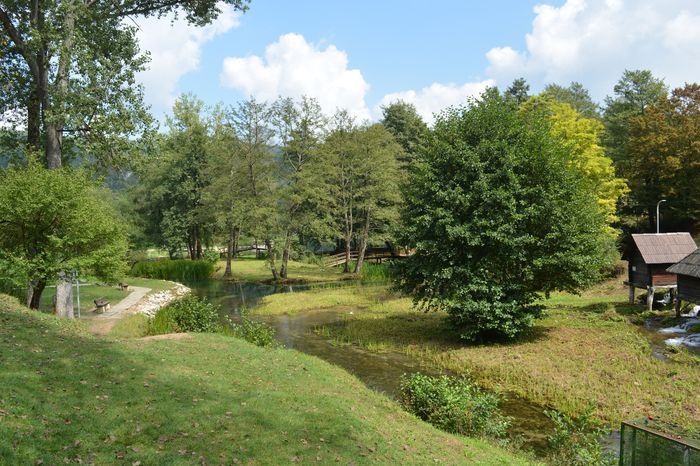 The Relic and the Fame of the Church