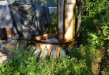 The Hebdomon as a Place of Rest and Transition